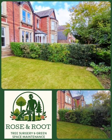 Garden with well-maintained grass and shrubs, alongside charming red-brick houses.