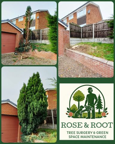 Before and after landscaping images featuring a tidy garden and logo of Rose & Root.